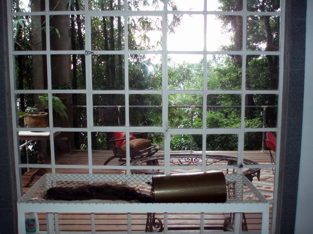 B&B Vitoria Regia ริโอเดจาเนโร ห้อง รูปภาพ